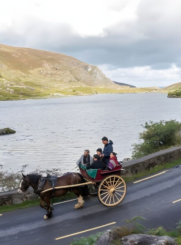 killarney national park 01